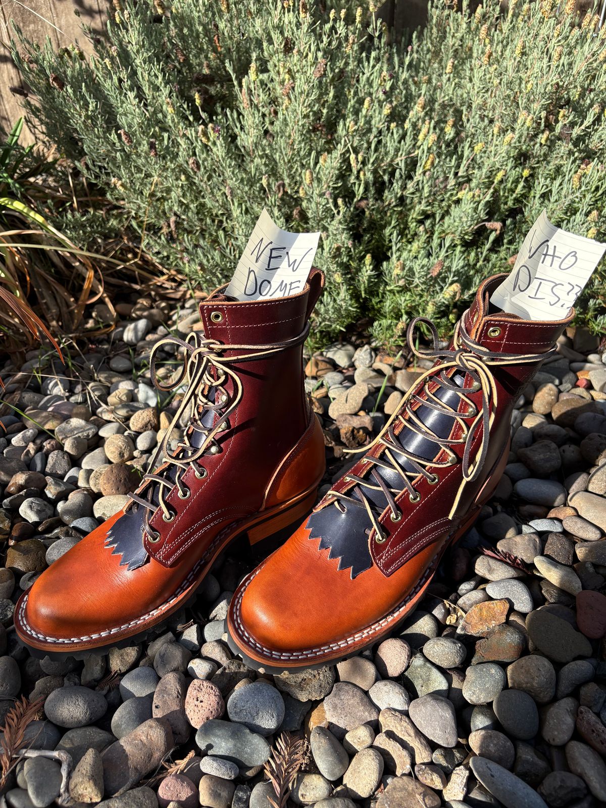 Photo by redmarengo on October 1, 2025 of the Frank's Boots Front Range in Wickett & Craig Chestnut Oiled Latigo & Wickett & Craig Tan Oiled Latigo & Wickett & Craig Navy Traditional Harness.
