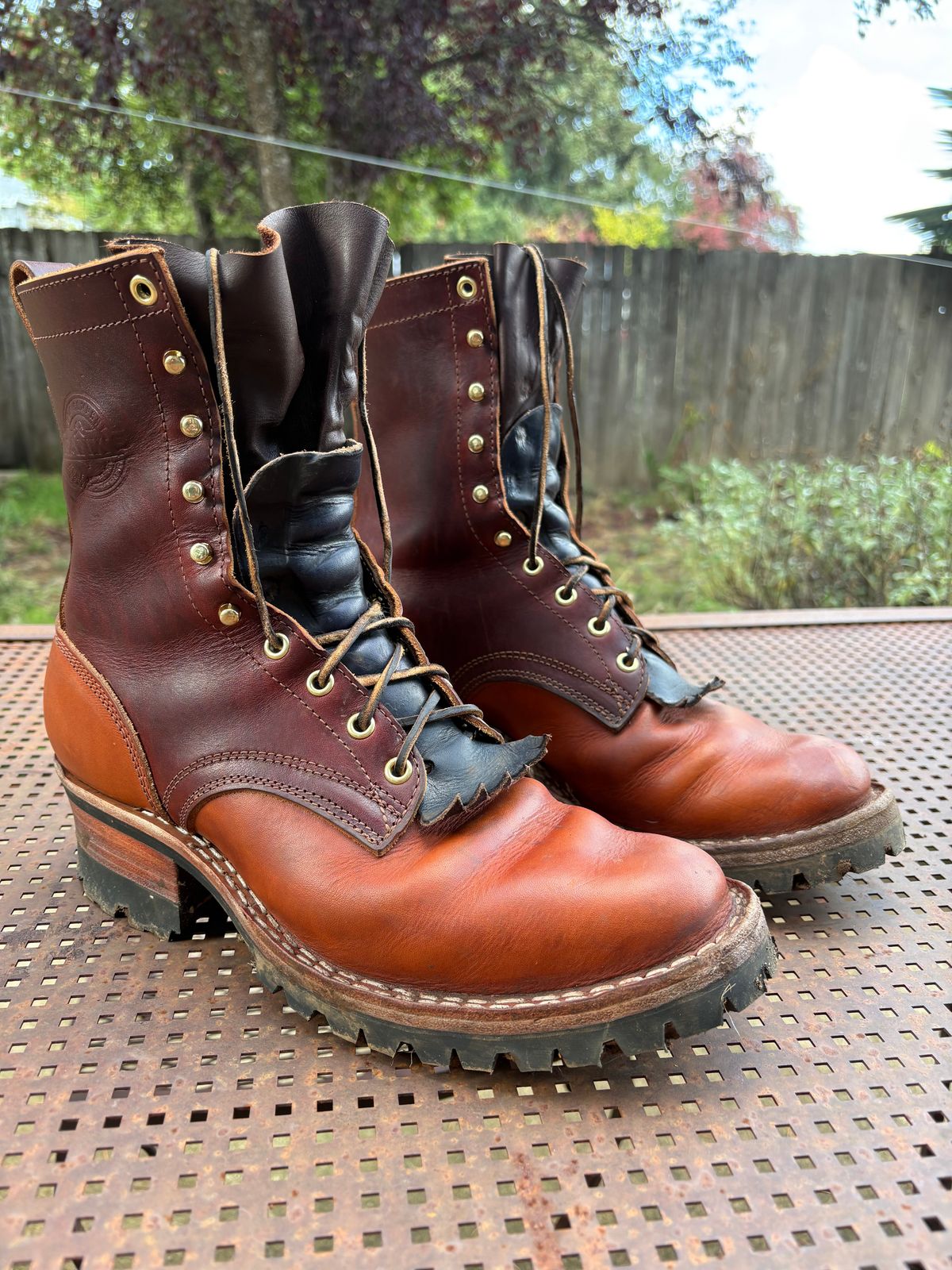 Photo by redmarengo on October 2, 2025 of the Frank's Boots Front Range in Wickett & Craig Chestnut Oiled Latigo & Wickett & Craig Tan Oiled Latigo & Wickett & Craig Navy Traditional Harness.