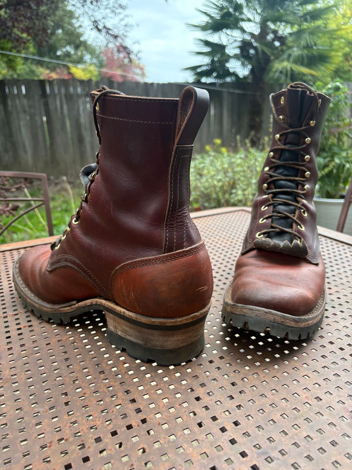 Photo by redmarengo on October 18, 2025 of the Frank's Boots Front Range in Wickett & Craig Chestnut Oiled Latigo & Wickett & Craig Tan Oiled Latigo & Wickett & Craig Navy Traditional Harness.
