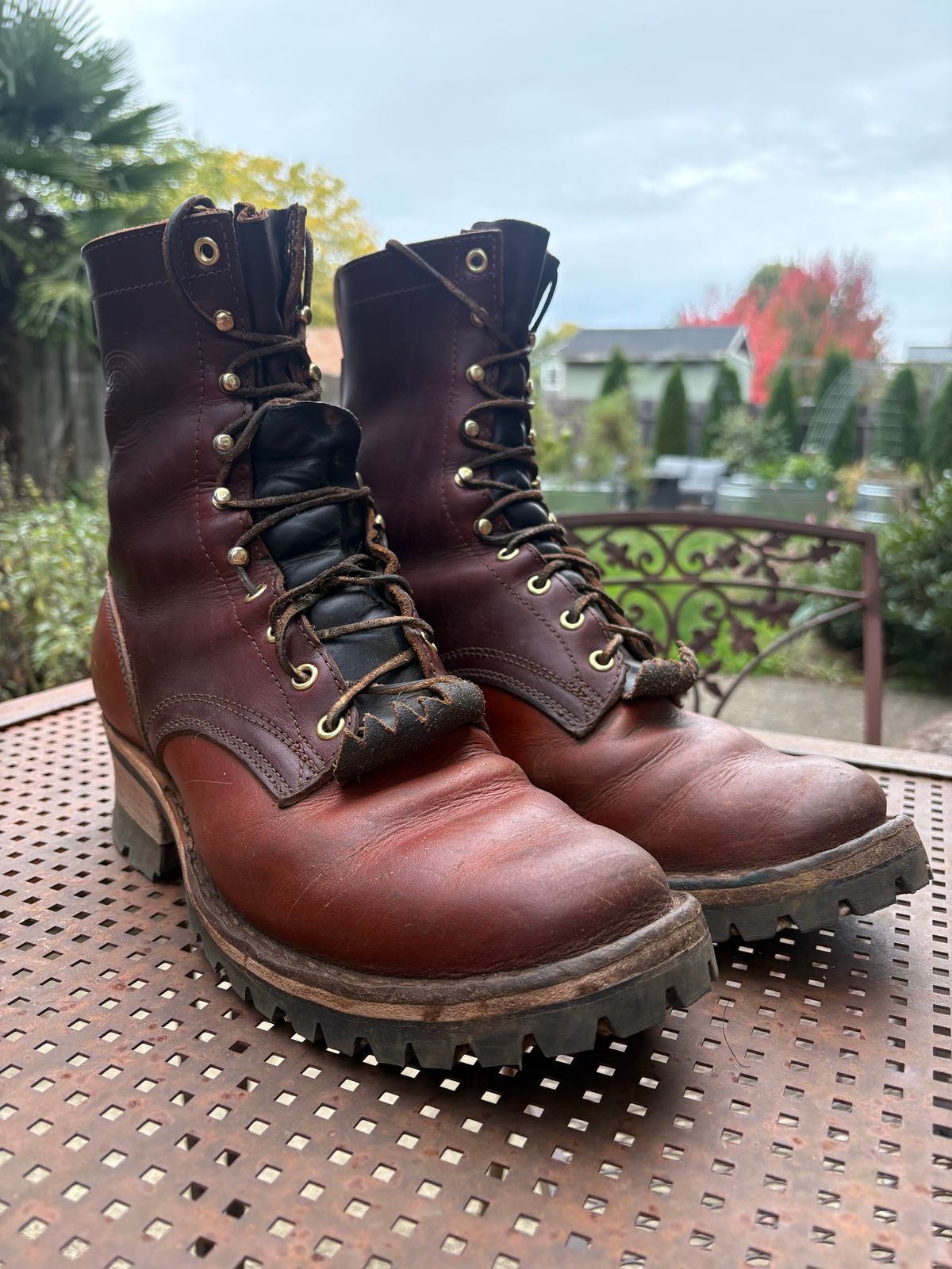 Photo by redmarengo on October 18, 2025 of the Frank's Boots Front Range in Wickett & Craig Chestnut Oiled Latigo & Wickett & Craig Tan Oiled Latigo & Wickett & Craig Navy Traditional Harness.
