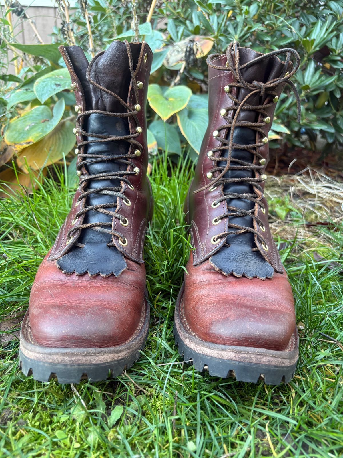 Photo by redmarengo on November 2, 2025 of the Frank's Boots Front Range in Wickett & Craig Chestnut Oiled Latigo & Wickett & Craig Tan Oiled Latigo & Wickett & Craig Navy Traditional Harness.
