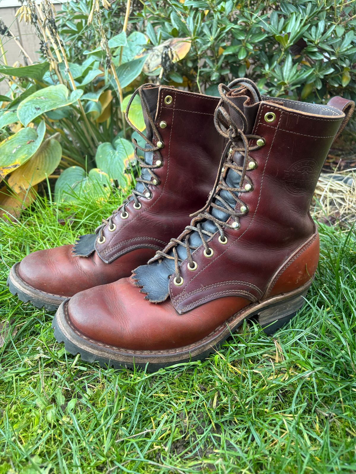 Photo by redmarengo on November 2, 2025 of the Frank's Boots Front Range in Wickett & Craig Chestnut Oiled Latigo & Wickett & Craig Tan Oiled Latigo & Wickett & Craig Navy Traditional Harness.