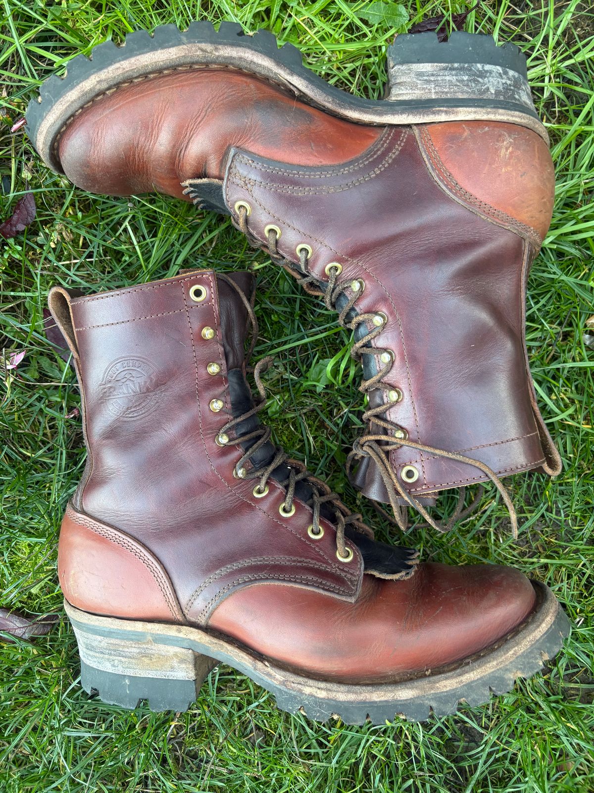 Photo by redmarengo on November 2, 2025 of the Frank's Boots Front Range in Wickett & Craig Chestnut Oiled Latigo & Wickett & Craig Tan Oiled Latigo & Wickett & Craig Navy Traditional Harness.