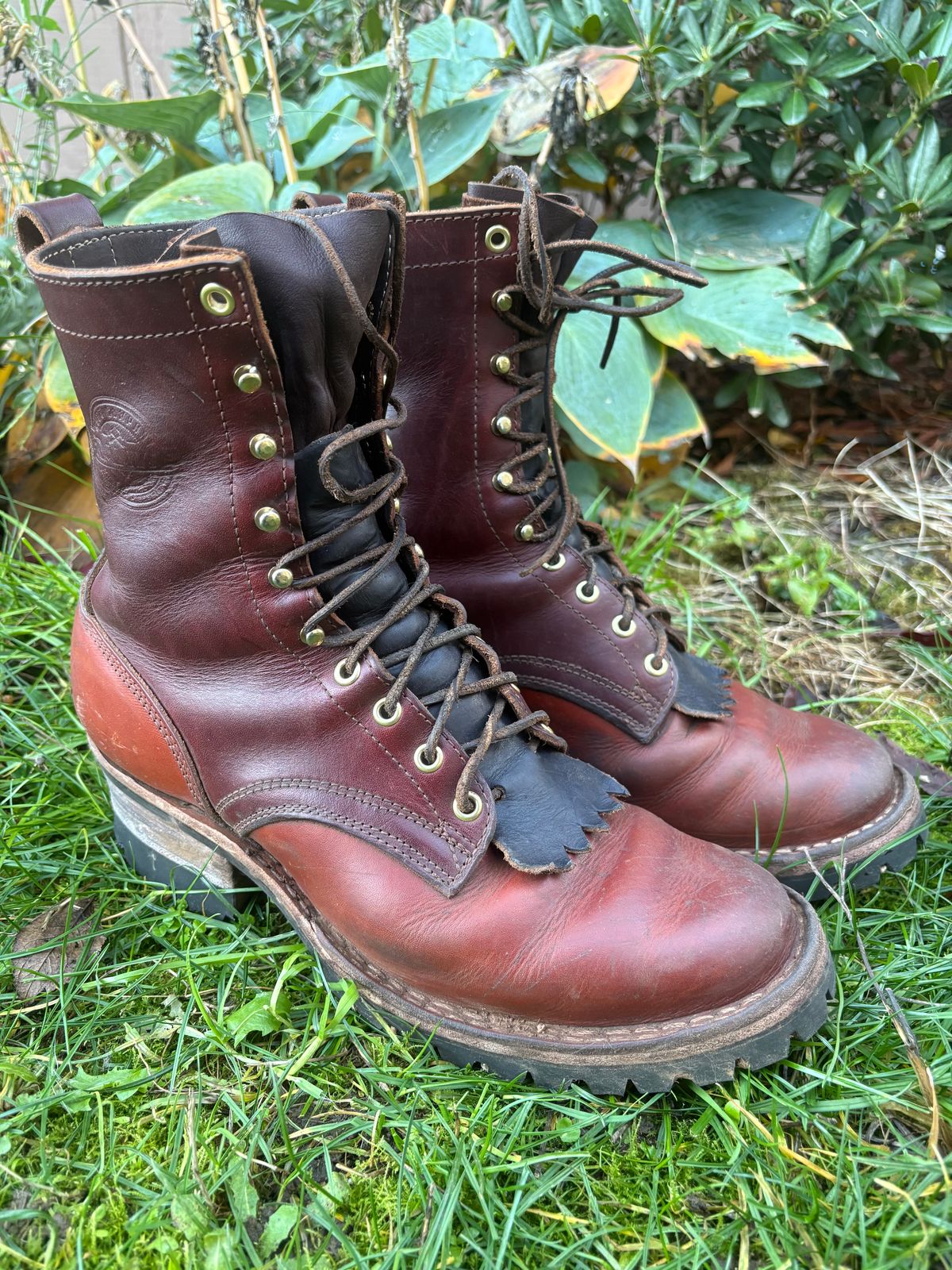 Photo by redmarengo on November 2, 2025 of the Frank's Boots Front Range in Wickett & Craig Chestnut Oiled Latigo & Wickett & Craig Tan Oiled Latigo & Wickett & Craig Navy Traditional Harness.