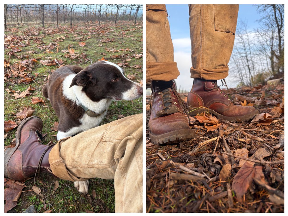 Photo by redmarengo on November 13, 2025 of the Frank's Boots Front Range in Wickett & Craig Chestnut Oiled Latigo & Wickett & Craig Tan Oiled Latigo & Wickett & Craig Navy Traditional Harness.