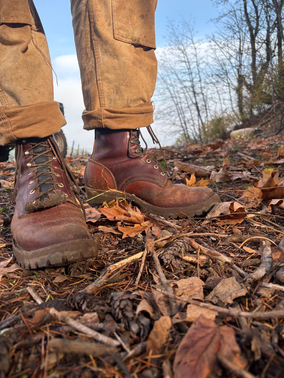 Photo by redmarengo on November 12, 2025 of the Frank's Boots Front Range in Wickett & Craig Chestnut Oiled Latigo & Wickett & Craig Tan Oiled Latigo & Wickett & Craig Navy Traditional Harness.