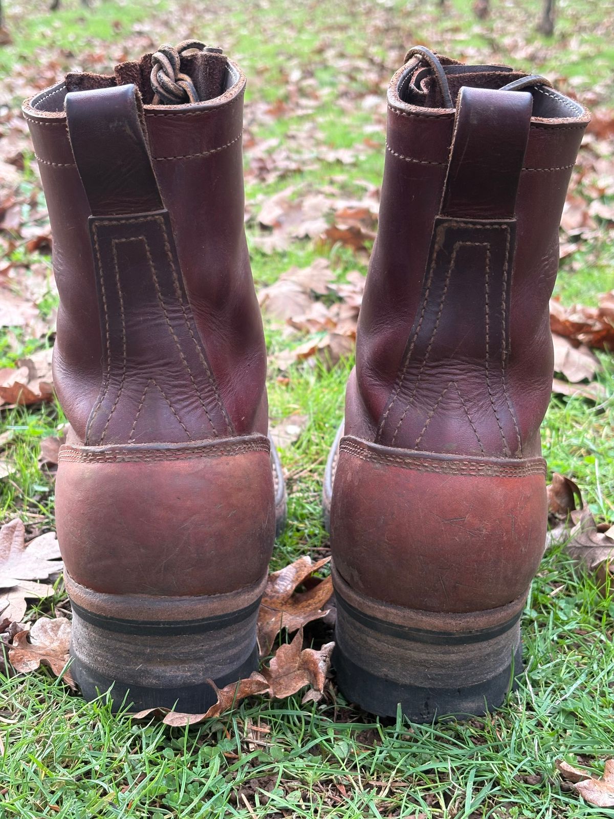Photo by redmarengo on December 1, 2025 of the Frank's Boots Front Range in Wickett & Craig Chestnut Oiled Latigo & Wickett & Craig Tan Oiled Latigo & Wickett & Craig Navy Traditional Harness.