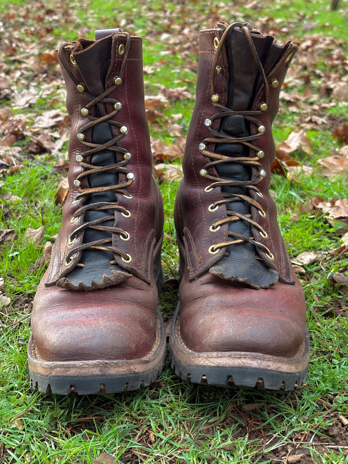 Photo by redmarengo on December 1, 2025 of the Frank's Boots Front Range in Wickett & Craig Chestnut Oiled Latigo & Wickett & Craig Tan Oiled Latigo & Wickett & Craig Navy Traditional Harness.