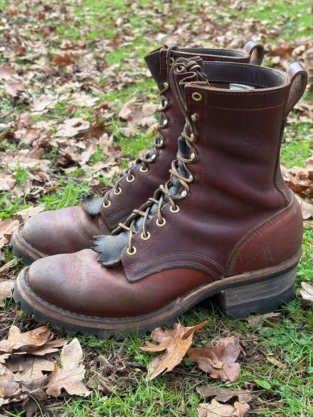 Photo by redmarengo on December 1, 2025 of the Frank's Boots Front Range in Wickett & Craig Chestnut Oiled Latigo & Wickett & Craig Tan Oiled Latigo & Wickett & Craig Navy Traditional Harness.