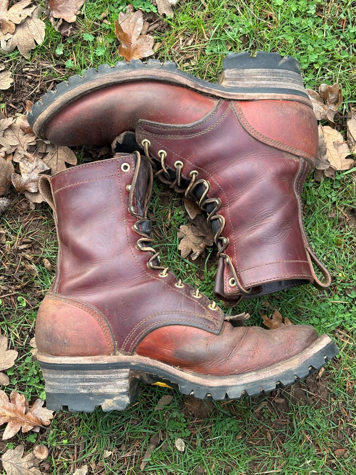 Photo by redmarengo on December 1, 2025 of the Frank's Boots Front Range in Wickett & Craig Chestnut Oiled Latigo & Wickett & Craig Tan Oiled Latigo & Wickett & Craig Navy Traditional Harness.