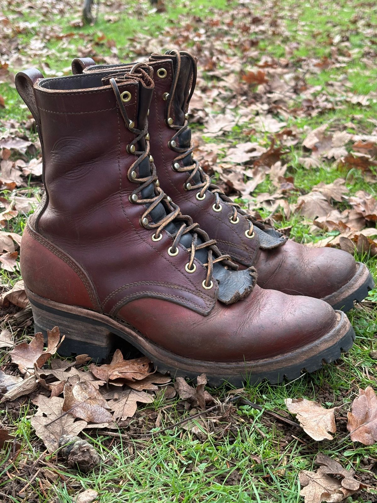 Photo by redmarengo on December 1, 2025 of the Frank's Boots Front Range in Wickett & Craig Chestnut Oiled Latigo & Wickett & Craig Tan Oiled Latigo & Wickett & Craig Navy Traditional Harness.