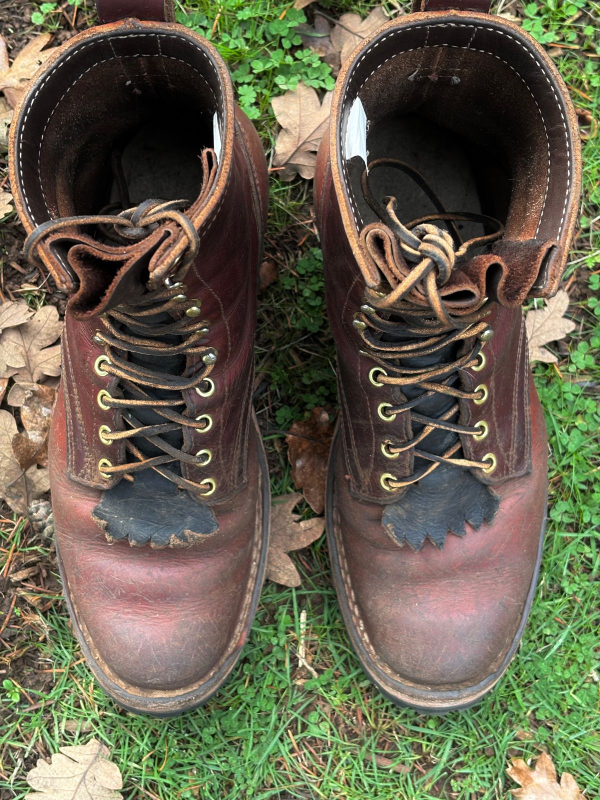Photo by redmarengo on December 1, 2025 of the Frank's Boots Front Range in Wickett & Craig Chestnut Oiled Latigo & Wickett & Craig Tan Oiled Latigo & Wickett & Craig Navy Traditional Harness.