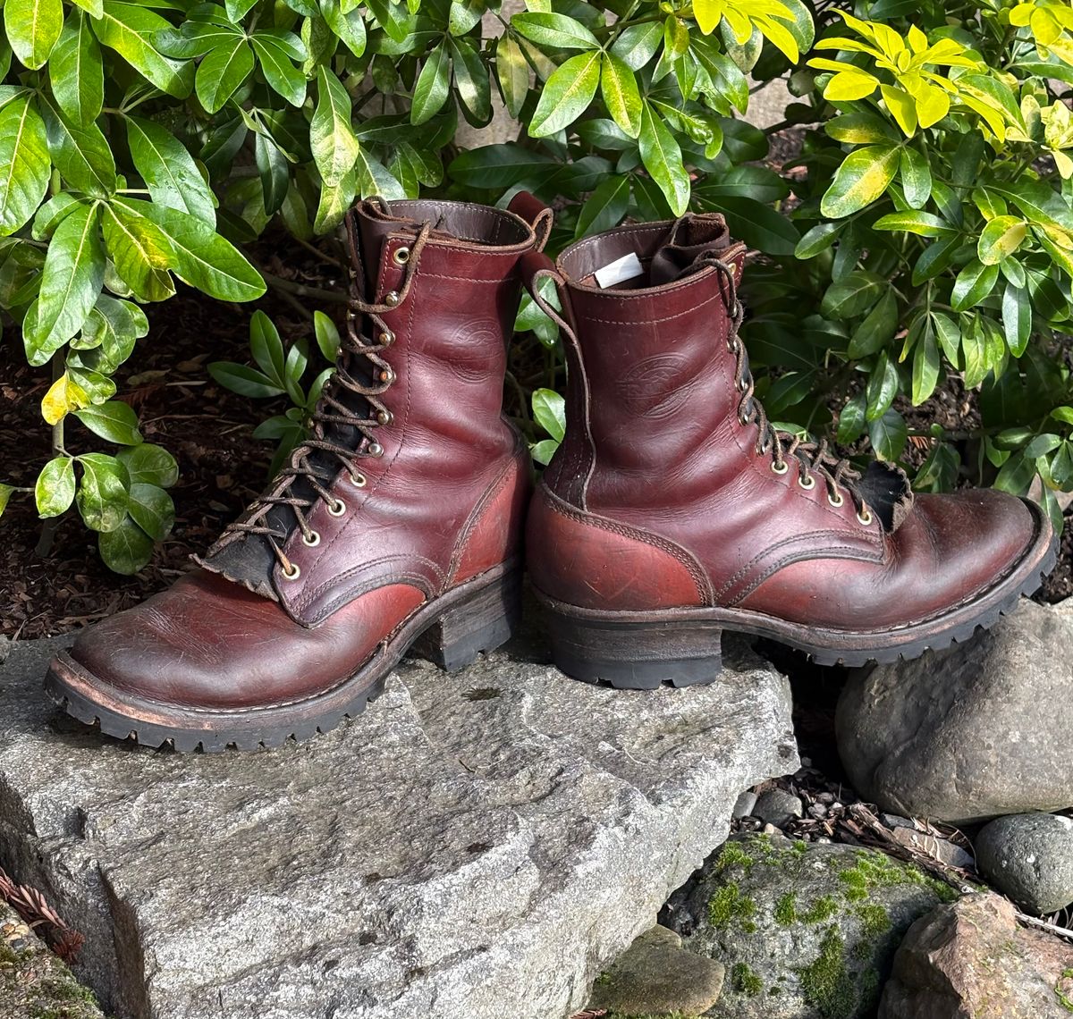 Photo by redmarengo on December 20, 2025 of the Frank's Boots Front Range in Wickett & Craig Chestnut Oiled Latigo & Wickett & Craig Tan Oiled Latigo & Wickett & Craig Navy Traditional Harness.