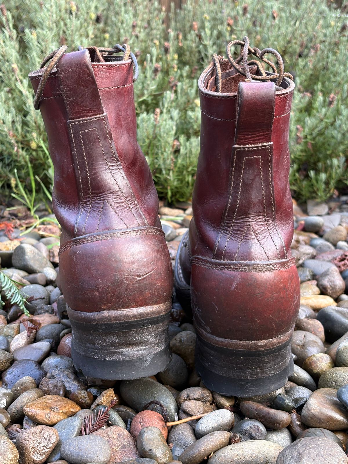 Photo by redmarengo on December 26, 2025 of the Frank's Boots Front Range in Wickett & Craig Chestnut Oiled Latigo & Wickett & Craig Tan Oiled Latigo & Wickett & Craig Navy Traditional Harness.