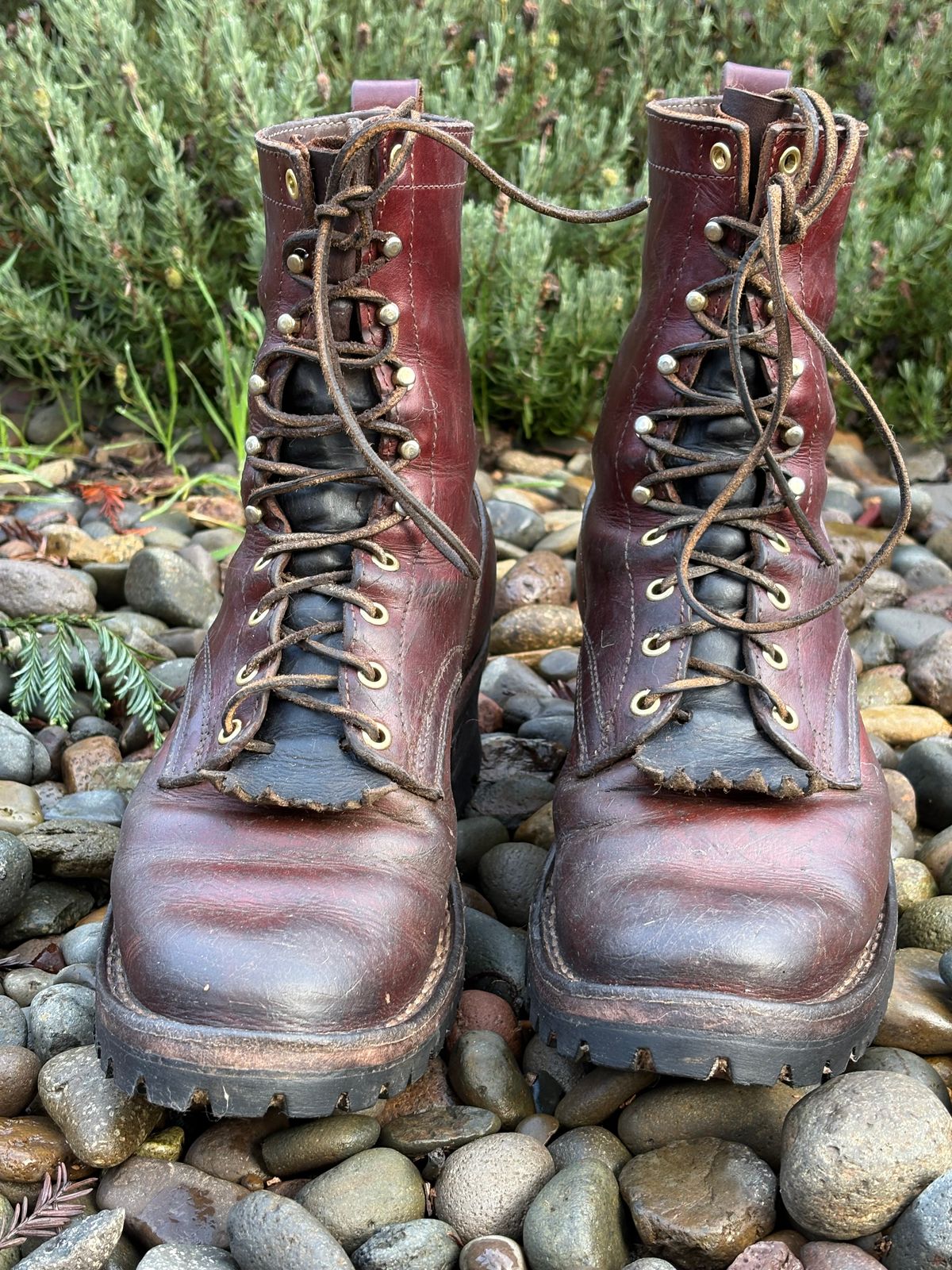 Photo by redmarengo on December 26, 2025 of the Frank's Boots Front Range in Wickett & Craig Chestnut Oiled Latigo & Wickett & Craig Tan Oiled Latigo & Wickett & Craig Navy Traditional Harness.