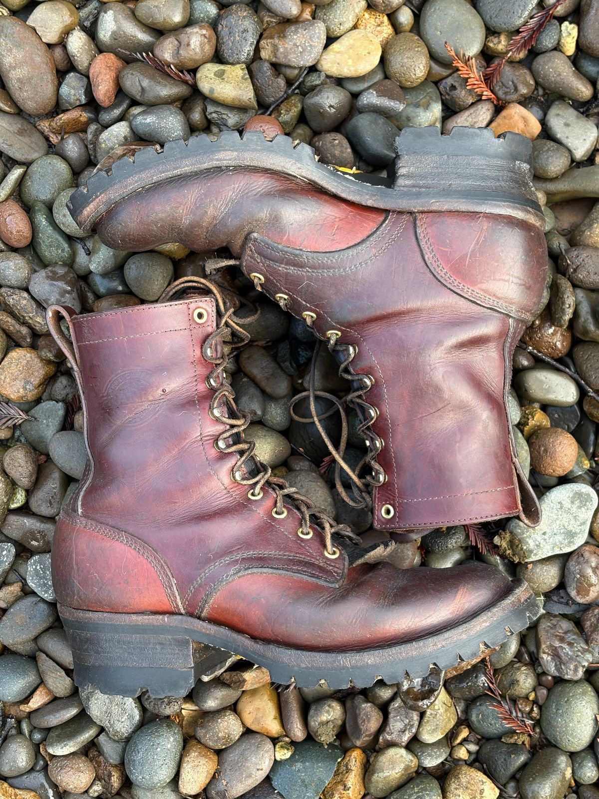 Photo by redmarengo on December 26, 2025 of the Frank's Boots Front Range in Wickett & Craig Chestnut Oiled Latigo & Wickett & Craig Tan Oiled Latigo & Wickett & Craig Navy Traditional Harness.