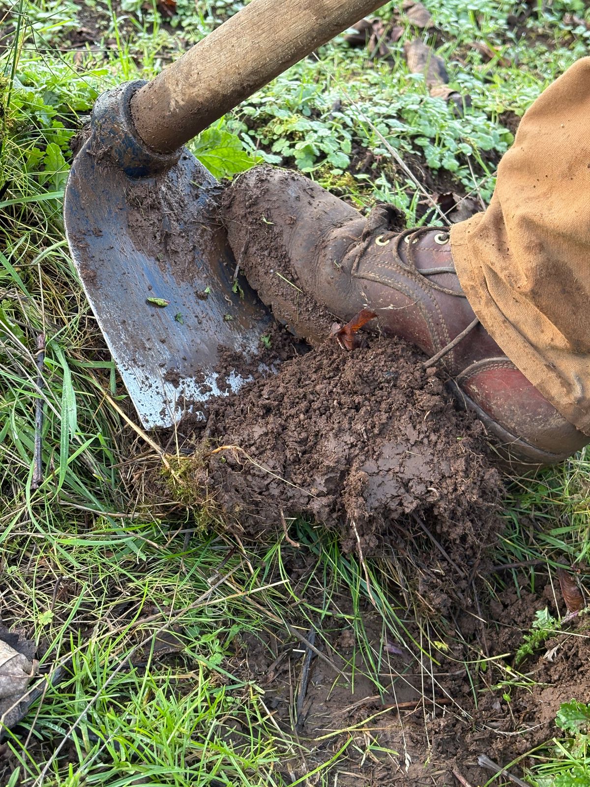Photo by redmarengo on January 9, 2026 of the Frank's Boots Front Range in Wickett & Craig Chestnut Oiled Latigo & Wickett & Craig Tan Oiled Latigo & Wickett & Craig Navy Traditional Harness.
