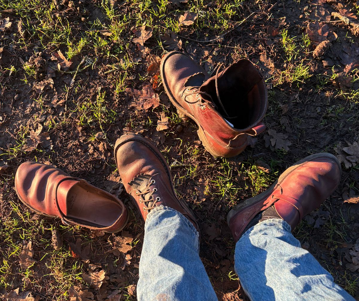 Photo by redmarengo on January 15, 2026 of the Frank's Boots Front Range in Wickett & Craig Chestnut Oiled Latigo & Wickett & Craig Tan Oiled Latigo & Wickett & Craig Navy Traditional Harness.