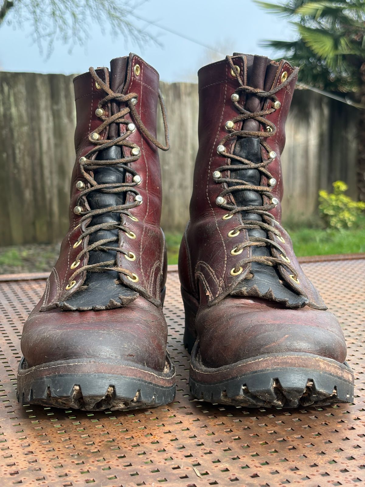 Photo by redmarengo on January 31, 2026 of the Frank's Boots Front Range in Wickett & Craig Chestnut Oiled Latigo & Wickett & Craig Tan Oiled Latigo & Wickett & Craig Navy Traditional Harness.