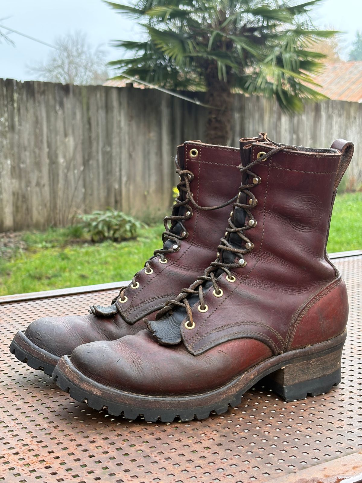 Photo by redmarengo on January 31, 2026 of the Frank's Boots Front Range in Wickett & Craig Chestnut Oiled Latigo & Wickett & Craig Tan Oiled Latigo & Wickett & Craig Navy Traditional Harness.