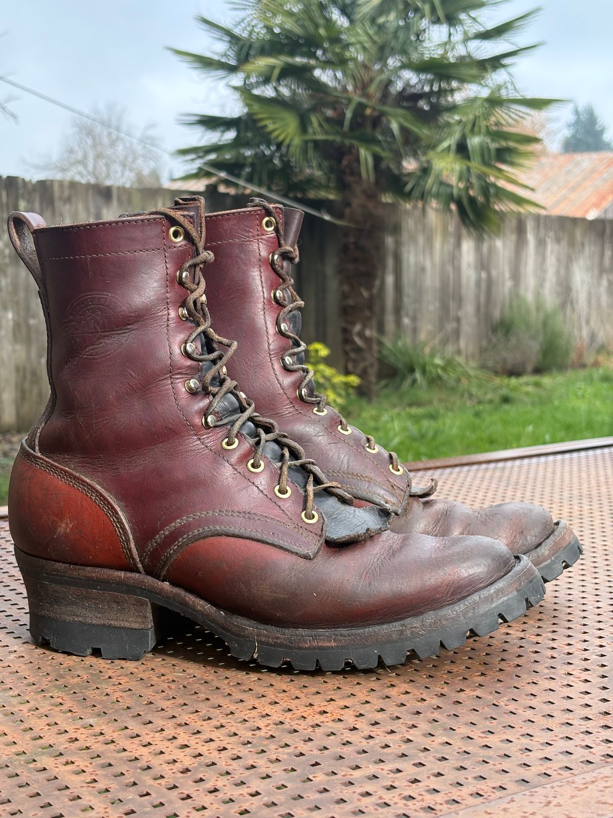 Photo by redmarengo on January 31, 2026 of the Frank's Boots Front Range in Wickett & Craig Chestnut Oiled Latigo & Wickett & Craig Tan Oiled Latigo & Wickett & Craig Navy Traditional Harness.