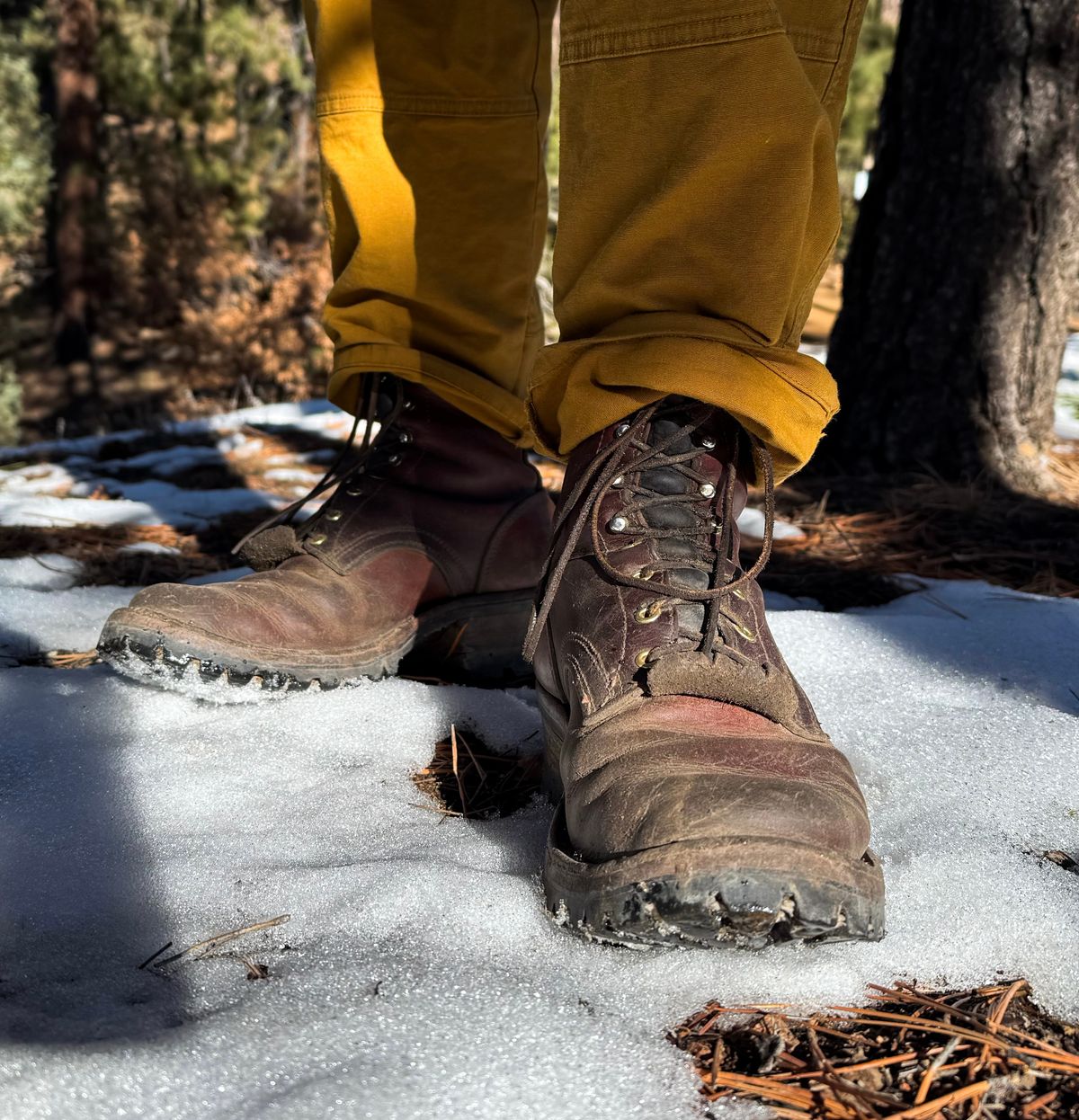 Photo by redmarengo on February 8, 2026 of the Frank's Boots Front Range in Wickett & Craig Chestnut Oiled Latigo & Wickett & Craig Tan Oiled Latigo & Wickett & Craig Navy Traditional Harness.