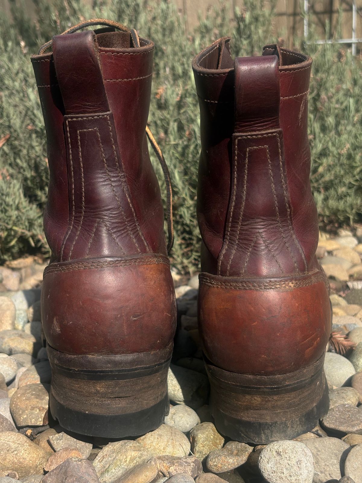 Photo by redmarengo on March 1, 2026 of the Frank's Boots Front Range in Wickett & Craig Chestnut Oiled Latigo & Wickett & Craig Tan Oiled Latigo & Wickett & Craig Navy Traditional Harness.