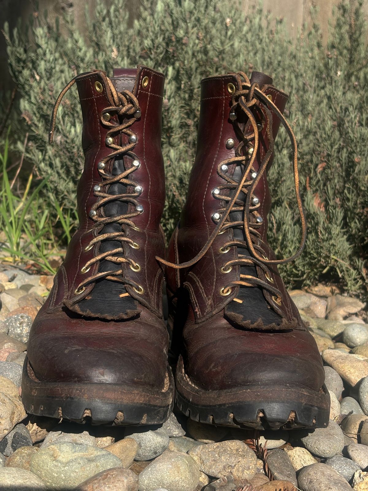 Photo by redmarengo on March 1, 2026 of the Frank's Boots Front Range in Wickett & Craig Chestnut Oiled Latigo & Wickett & Craig Tan Oiled Latigo & Wickett & Craig Navy Traditional Harness.