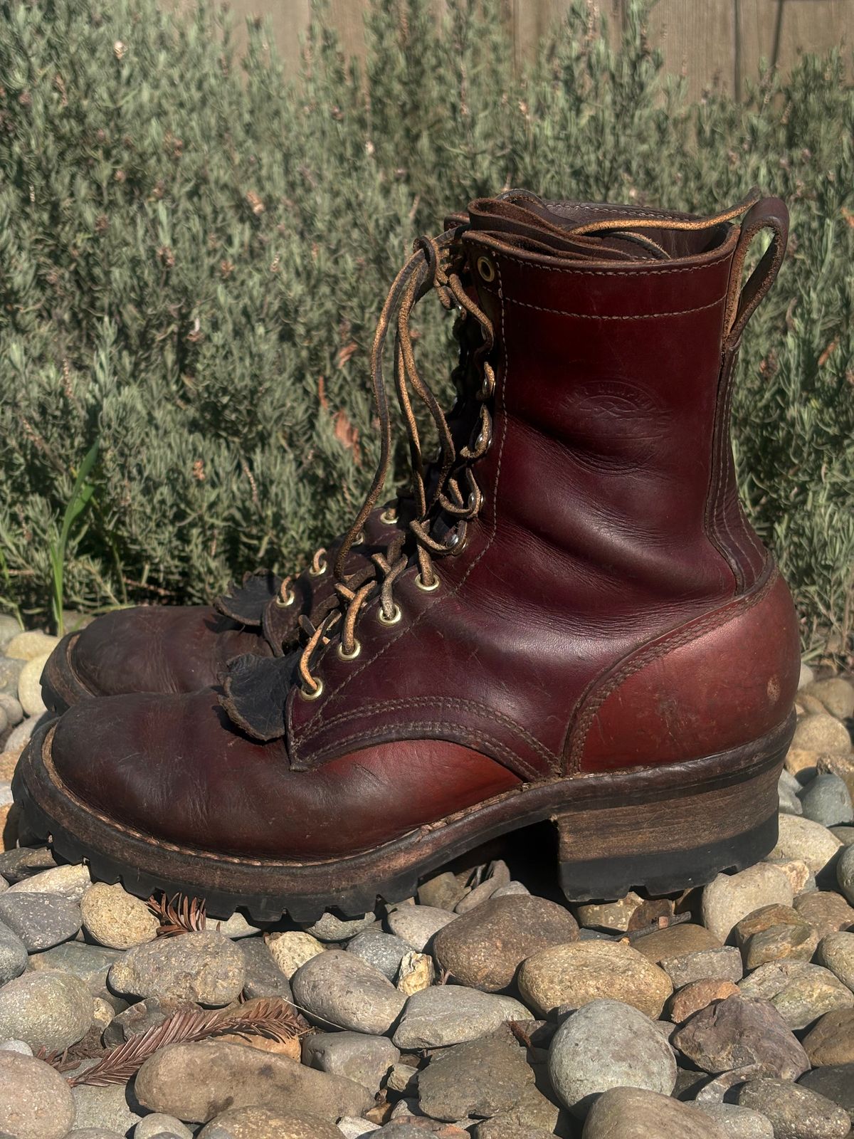Photo by redmarengo on March 1, 2026 of the Frank's Boots Front Range in Wickett & Craig Chestnut Oiled Latigo & Wickett & Craig Tan Oiled Latigo & Wickett & Craig Navy Traditional Harness.