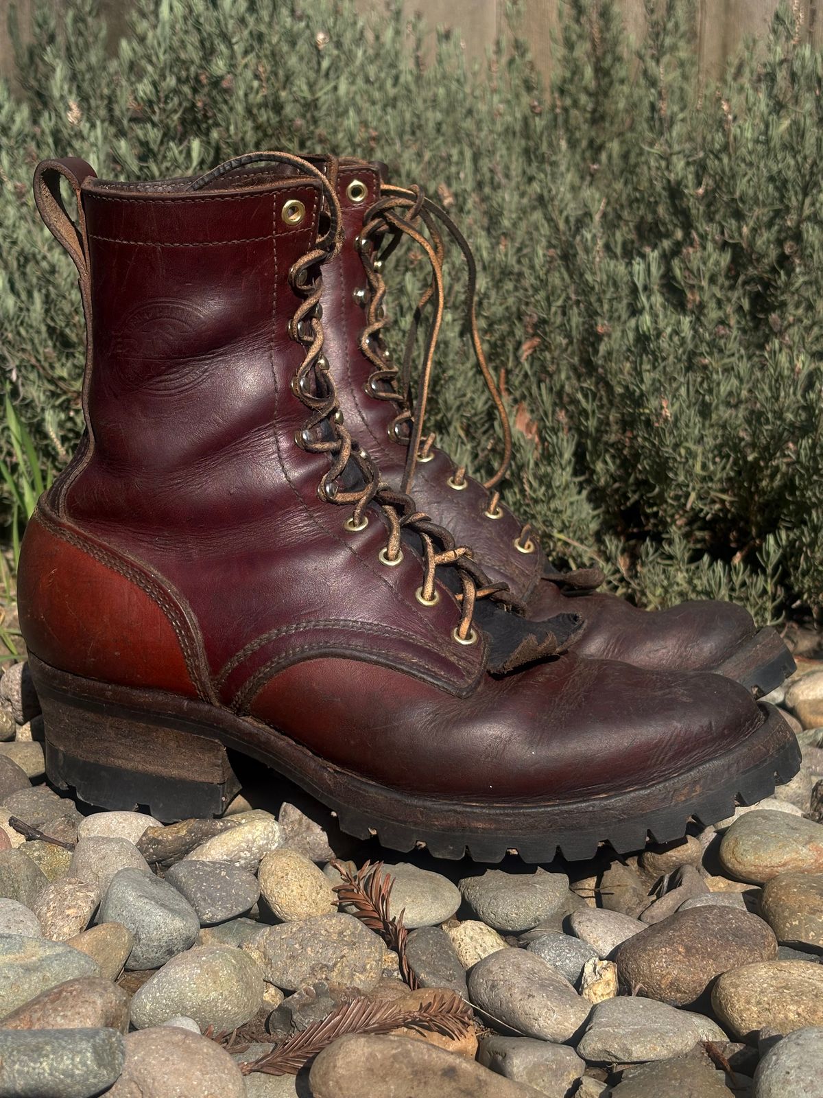 Photo by redmarengo on March 1, 2026 of the Frank's Boots Front Range in Wickett & Craig Chestnut Oiled Latigo & Wickett & Craig Tan Oiled Latigo & Wickett & Craig Navy Traditional Harness.