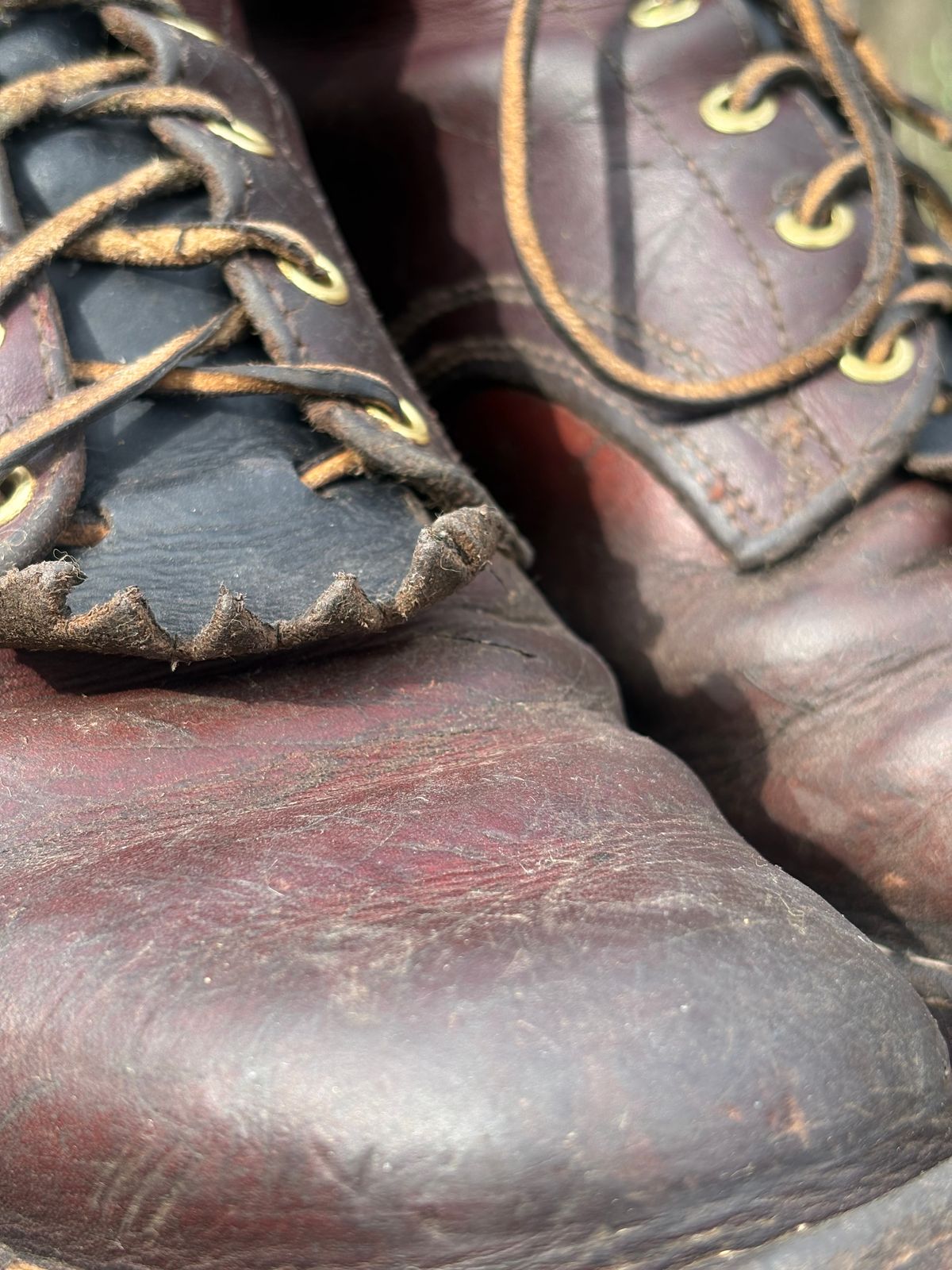 Photo by redmarengo on March 1, 2026 of the Frank's Boots Front Range in Wickett & Craig Chestnut Oiled Latigo & Wickett & Craig Tan Oiled Latigo & Wickett & Craig Navy Traditional Harness.