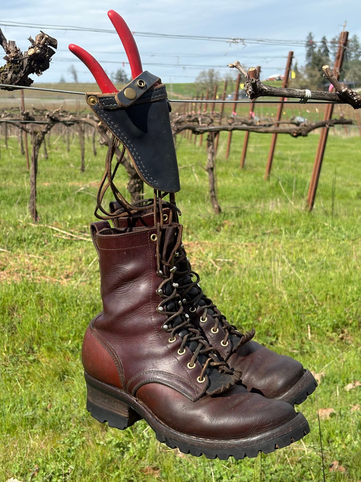 Photo by redmarengo on March 31, 2026 of the Frank's Boots Front Range in Wickett & Craig Chestnut Oiled Latigo & Wickett & Craig Tan Oiled Latigo & Wickett & Craig Navy Traditional Harness.