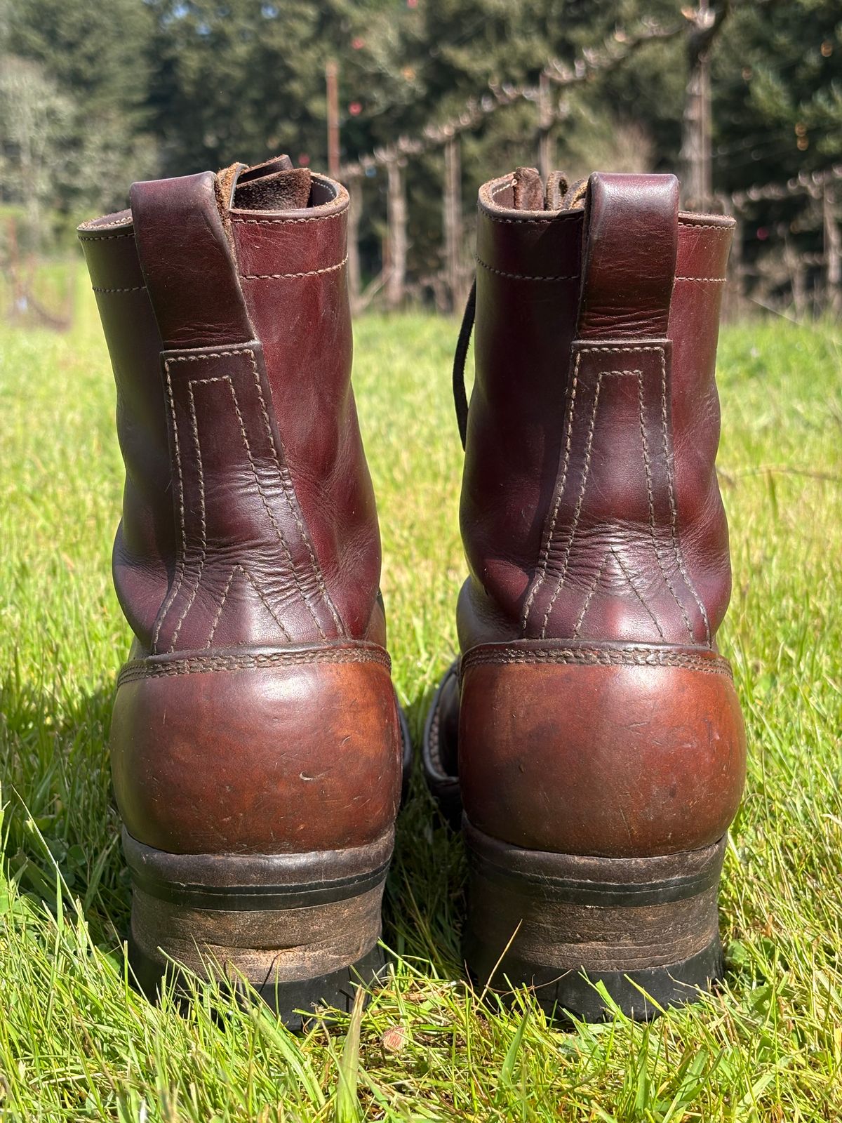 Photo by redmarengo on March 31, 2026 of the Frank's Boots Front Range in Wickett & Craig Chestnut Oiled Latigo & Wickett & Craig Tan Oiled Latigo & Wickett & Craig Navy Traditional Harness.