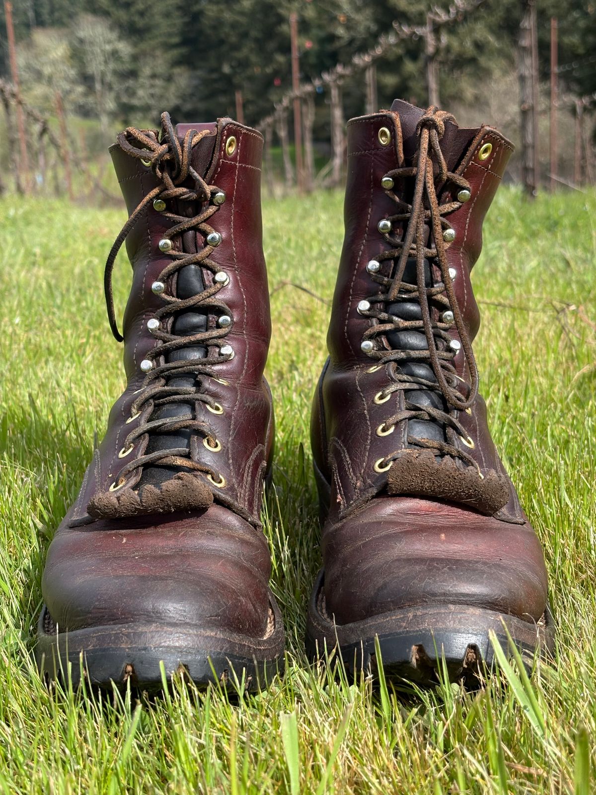 Photo by redmarengo on March 31, 2026 of the Frank's Boots Front Range in Wickett & Craig Chestnut Oiled Latigo & Wickett & Craig Tan Oiled Latigo & Wickett & Craig Navy Traditional Harness.