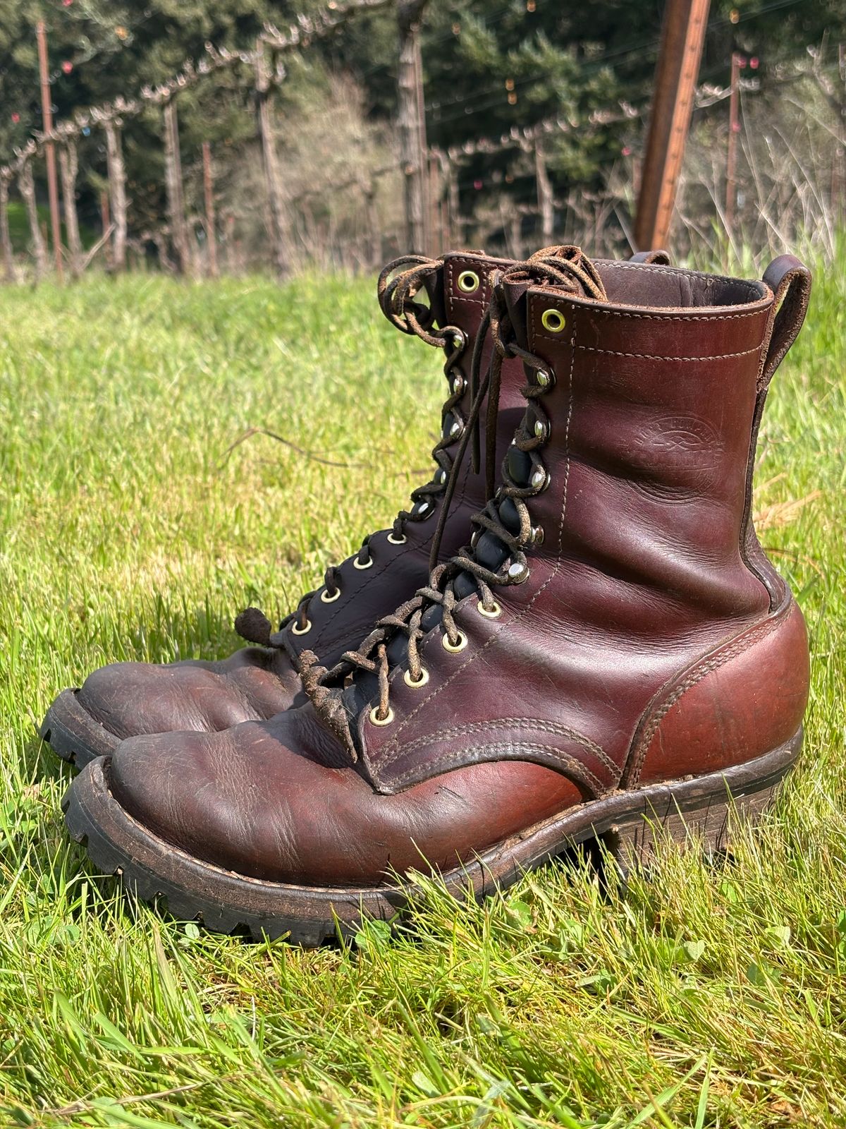 Photo by redmarengo on March 31, 2026 of the Frank's Boots Front Range in Wickett & Craig Chestnut Oiled Latigo & Wickett & Craig Tan Oiled Latigo & Wickett & Craig Navy Traditional Harness.