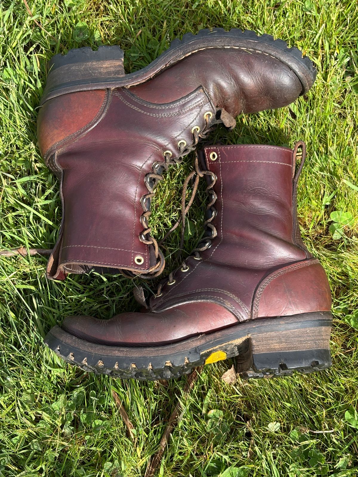 Photo by redmarengo on March 31, 2026 of the Frank's Boots Front Range in Wickett & Craig Chestnut Oiled Latigo & Wickett & Craig Tan Oiled Latigo & Wickett & Craig Navy Traditional Harness.