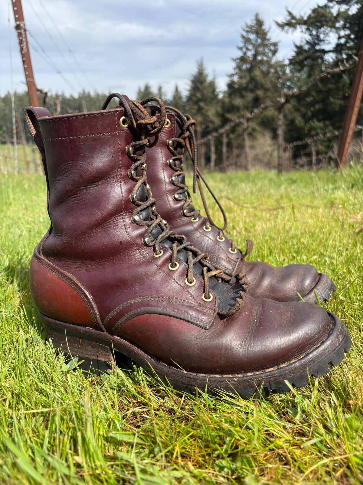 Photo by redmarengo on March 31, 2026 of the Frank's Boots Front Range in Wickett & Craig Chestnut Oiled Latigo & Wickett & Craig Tan Oiled Latigo & Wickett & Craig Navy Traditional Harness.