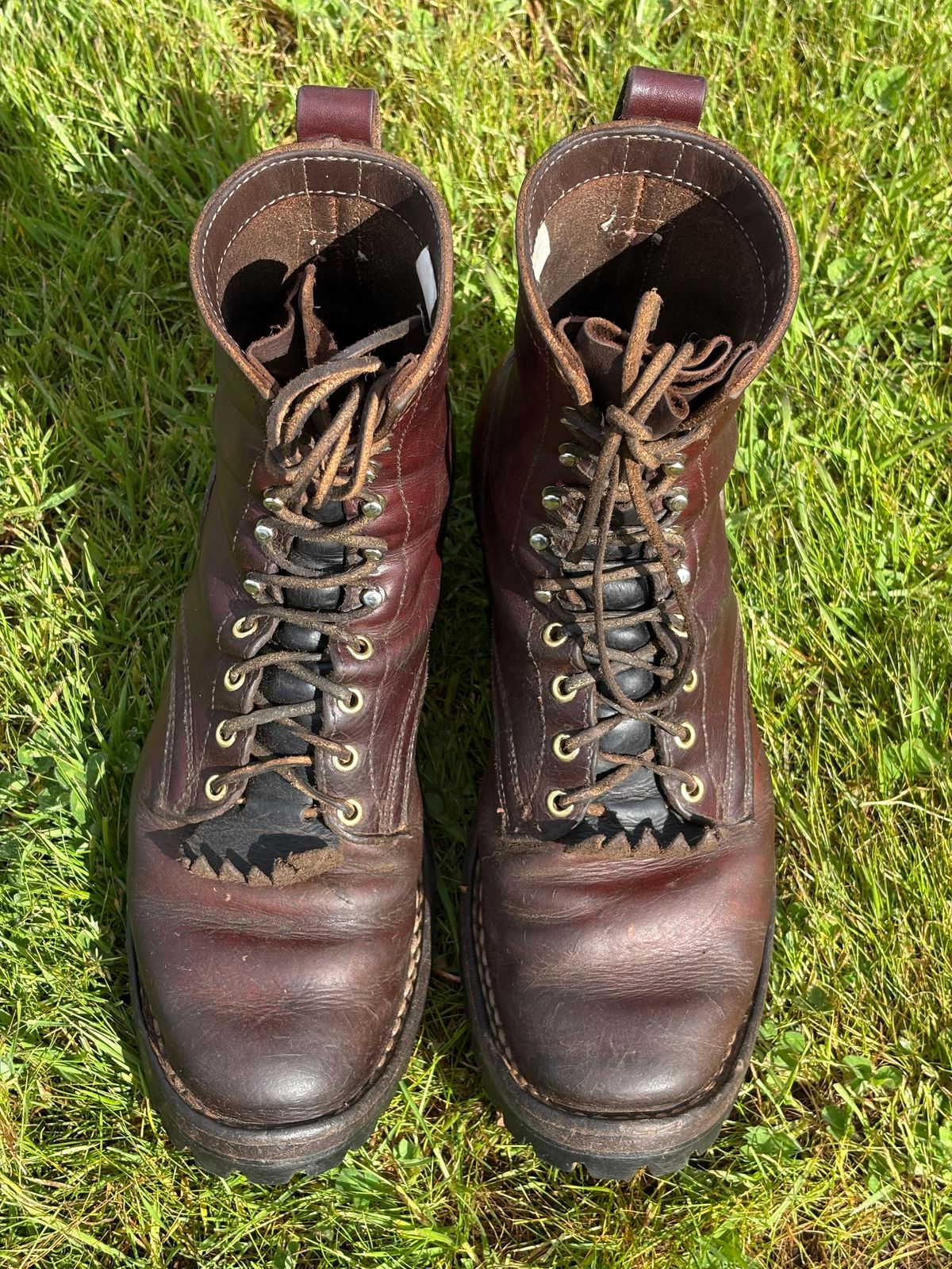 Photo by redmarengo on March 31, 2026 of the Frank's Boots Front Range in Wickett & Craig Chestnut Oiled Latigo & Wickett & Craig Tan Oiled Latigo & Wickett & Craig Navy Traditional Harness.