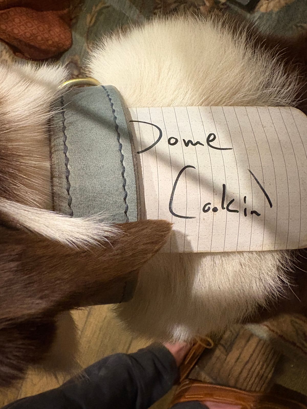 Photo by redmarengo on November 2, 2025 of the Green Hollow Gear Field Friend in Horween Storm Blue Cypress & Korba Purple Calf.