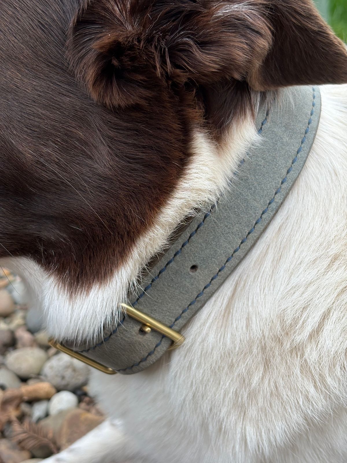 Photo by redmarengo on March 30, 2026 of the Green Hollow Gear Field Friend in Horween Storm Blue Cypress & Korba Purple Calf.