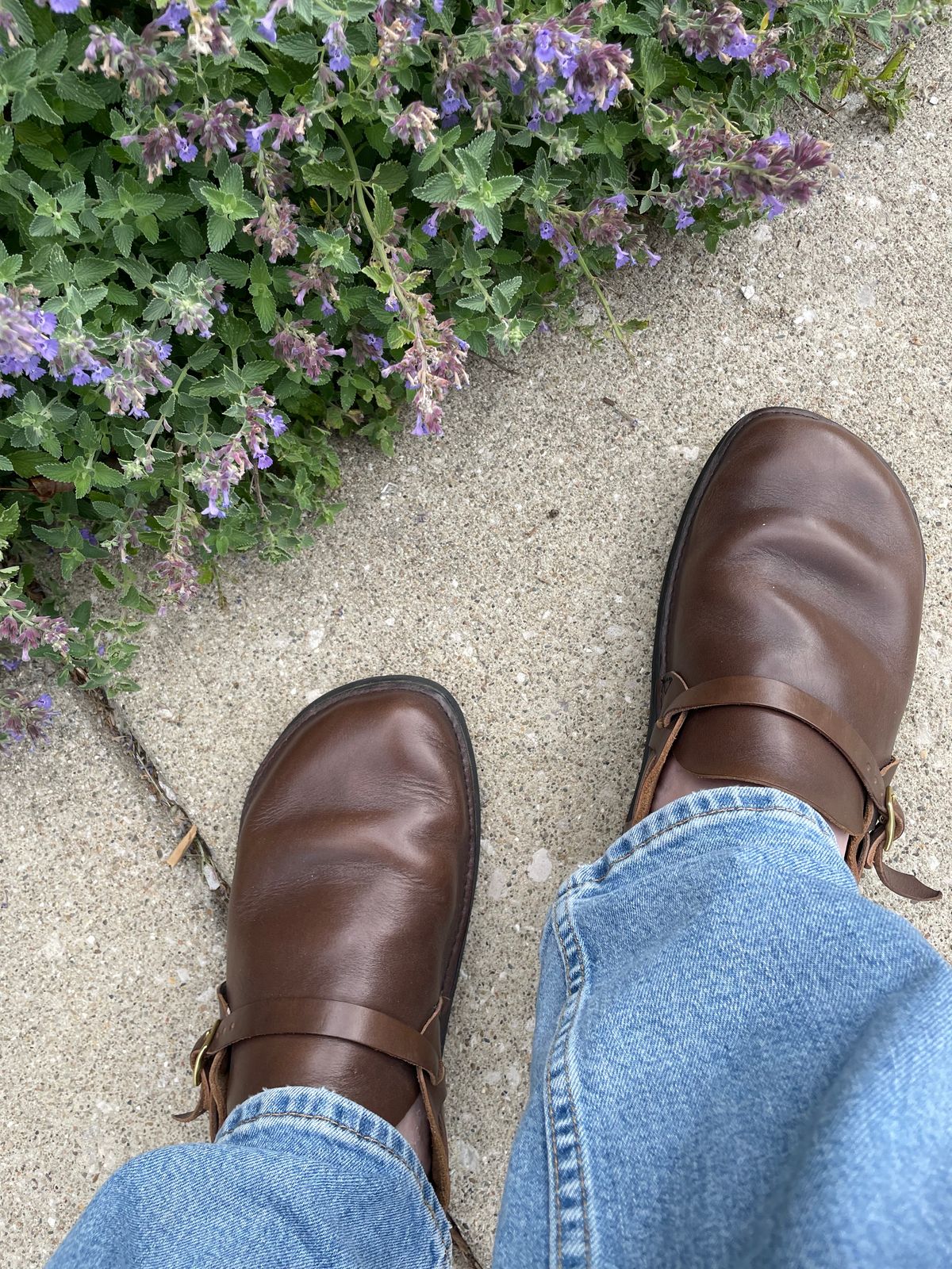 Photo by GTOby04 on June 21, 2026 of the Aurora Shoe Co. Middle English in Horween Olive CXL.