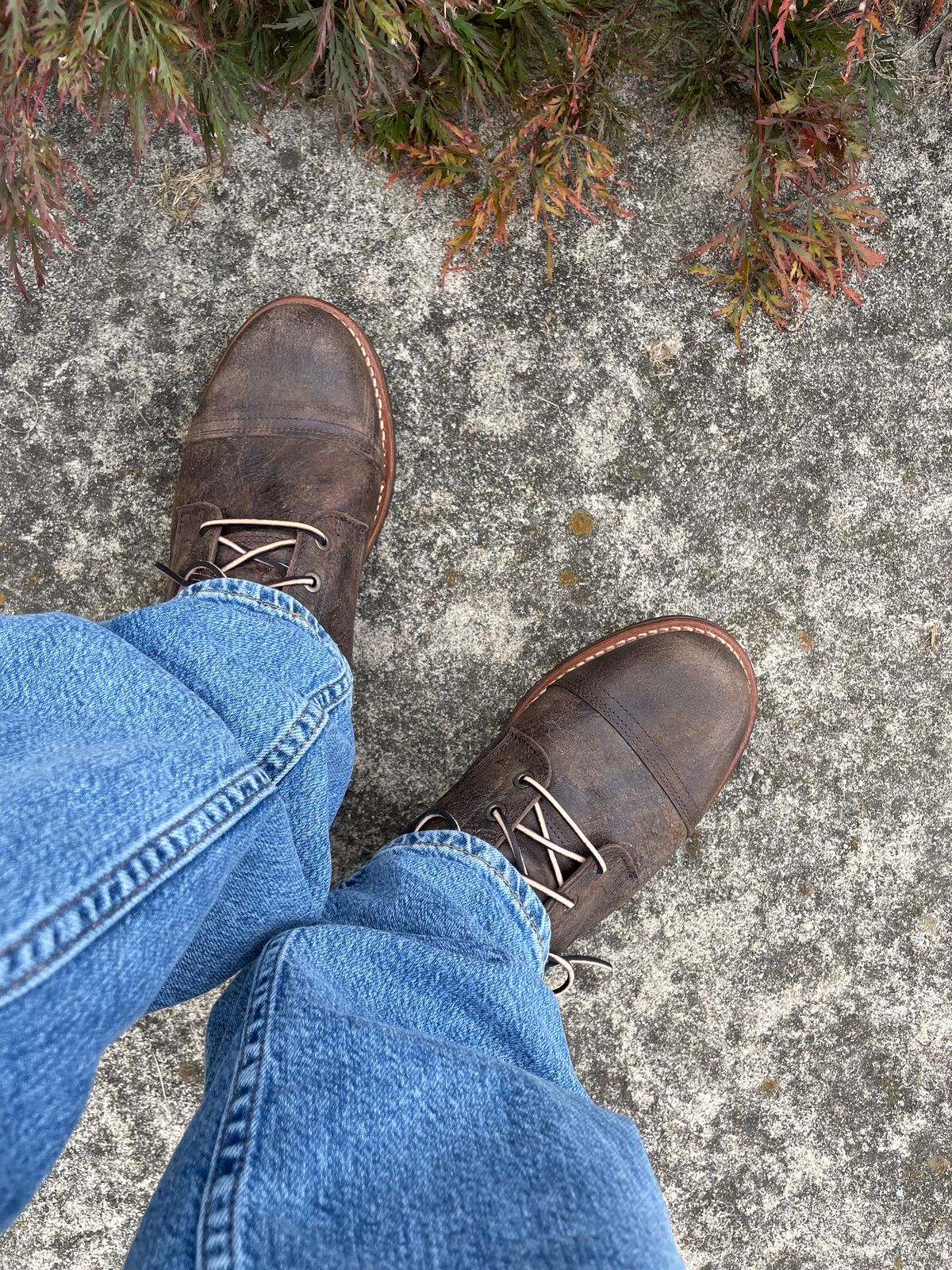 Photo by GTOby04 on August 4, 2025 of the Truman Cap Toe Boot in C.F. Stead Stone Rambler.