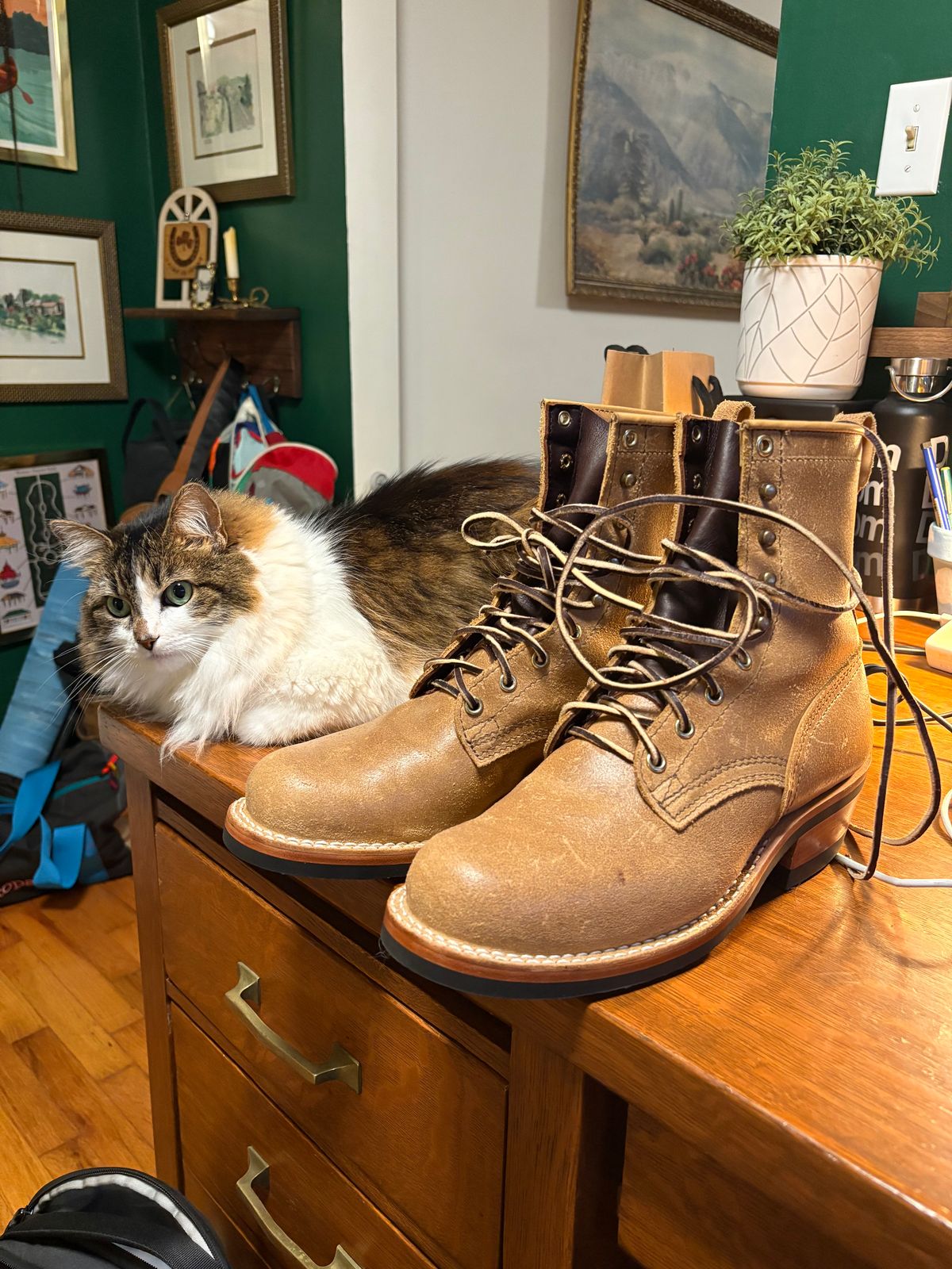 Photo by scottyp93 on November 19, 2025 of the Nicks Robert in Horween Moc Latigo.