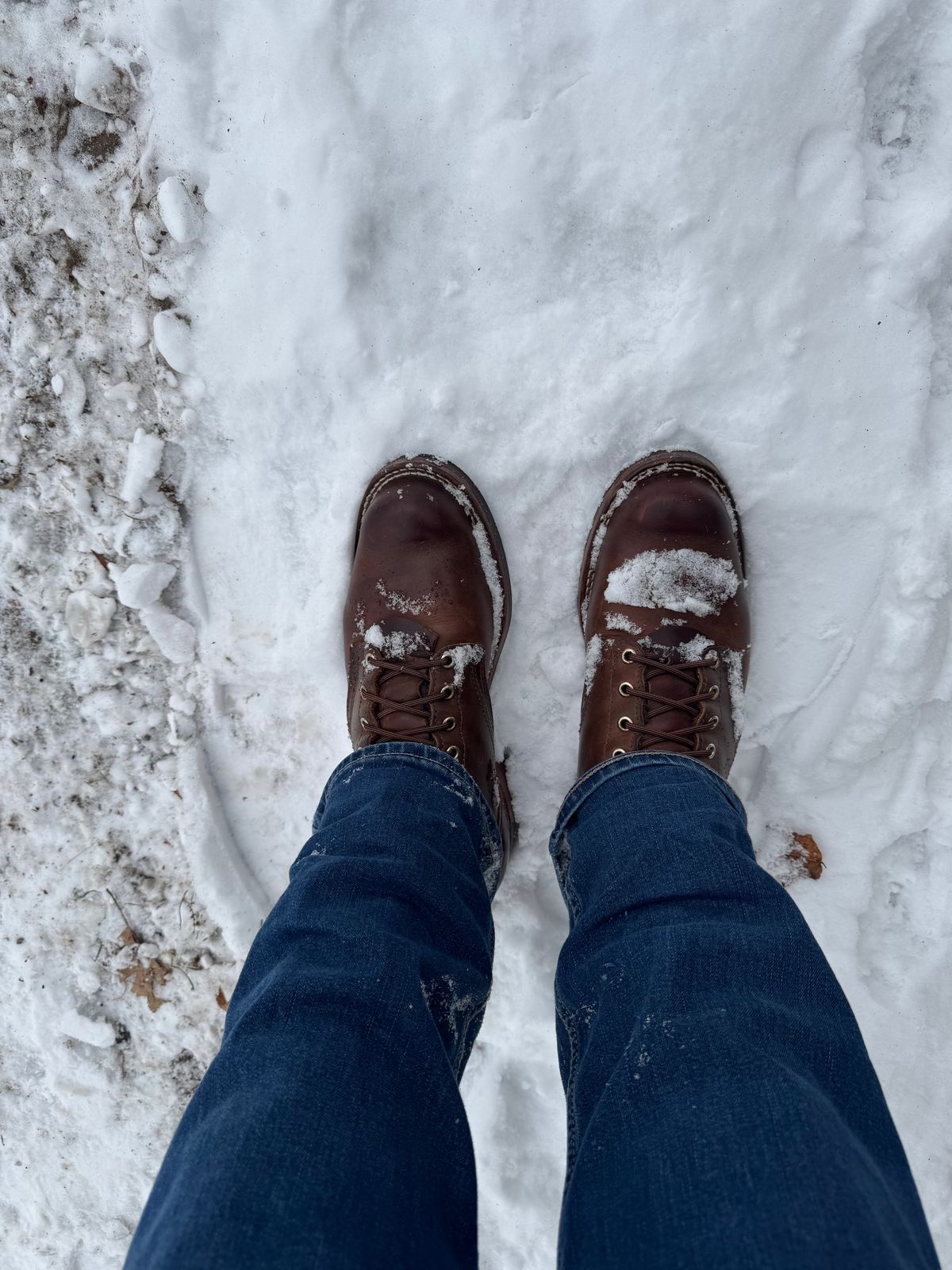 Photo by dmtr on December 15, 2025 of the Nicks Robert in Horween Orange Predator.
