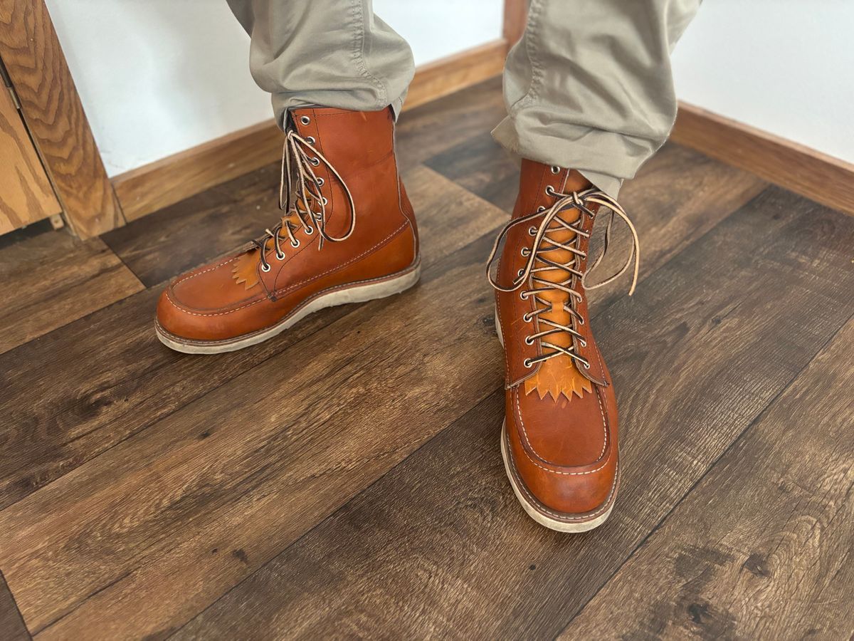 Photo by buddy1997 on February 23, 2026 of the Red Wing 8-Inch Classic Moc in S.B. Foot Oro Legacy.