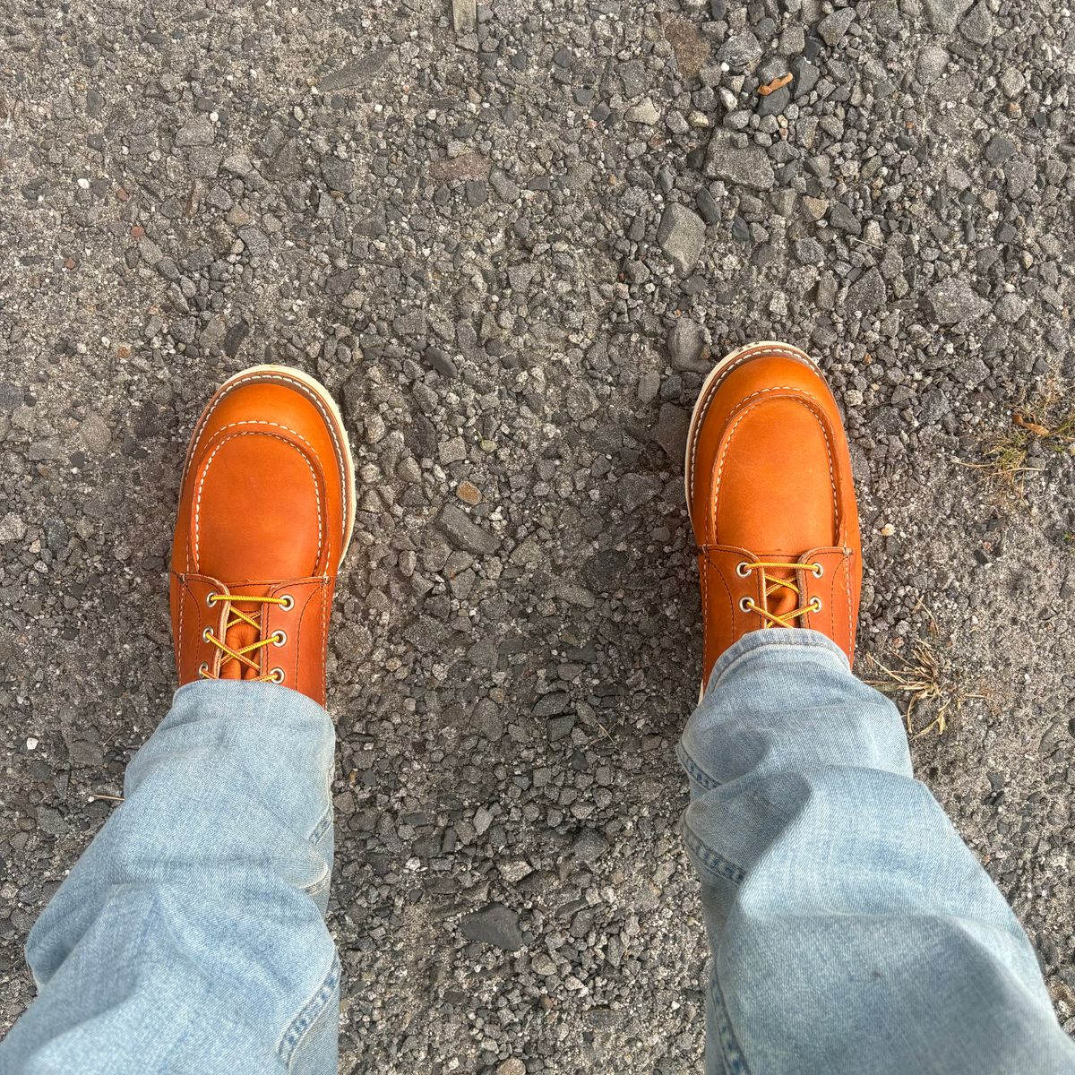 Photo by buddy1997 on October 8, 2025 of the Red Wing 8-Inch Classic Moc in S.B. Foot Oro Legacy.