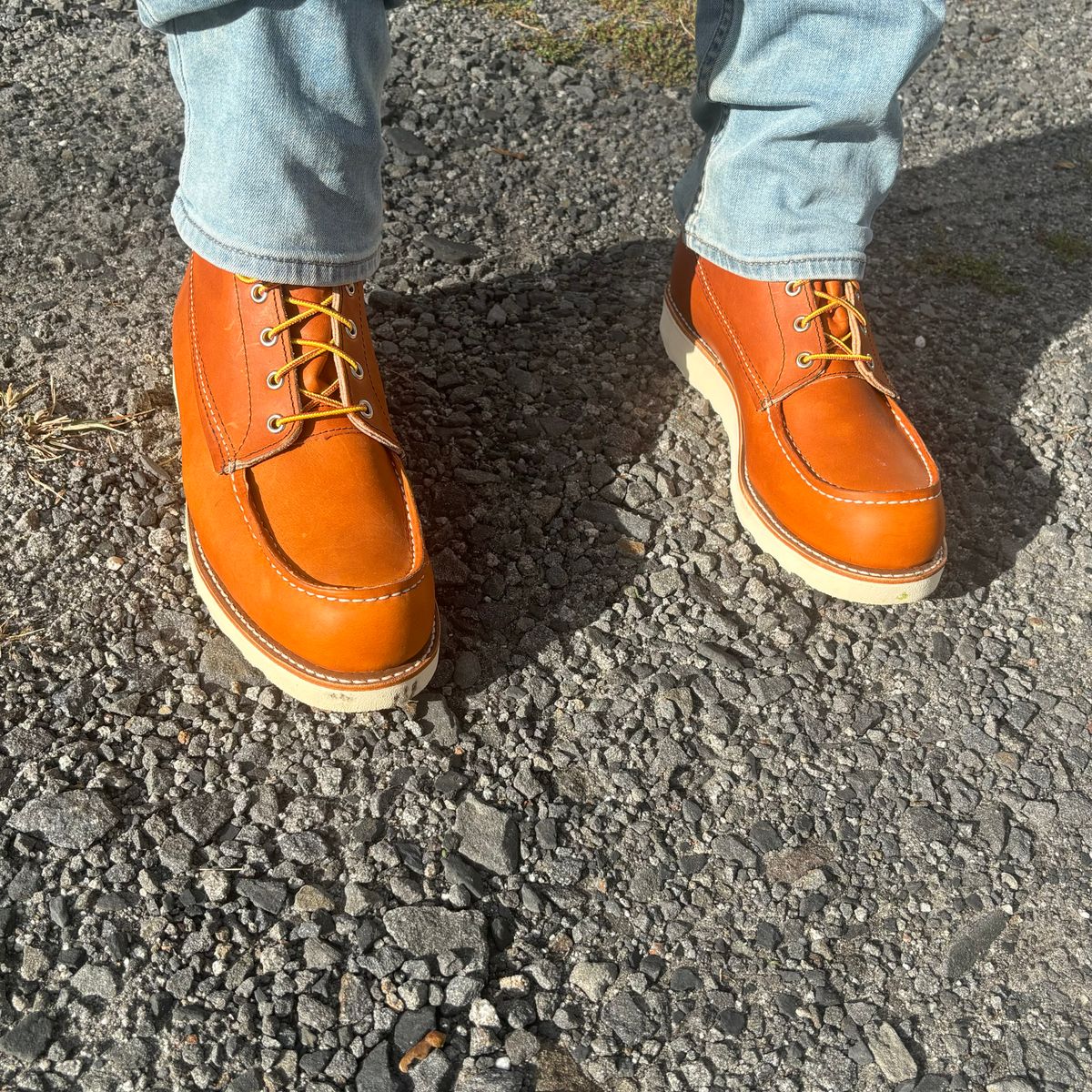 Photo by buddy1997 on October 8, 2025 of the Red Wing 8-Inch Classic Moc in S.B. Foot Oro Legacy.
