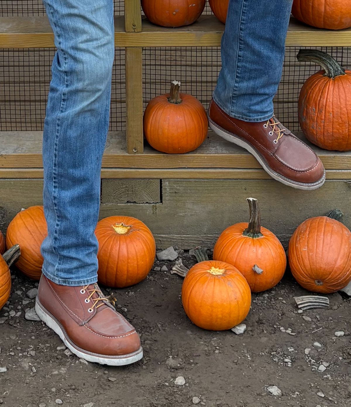 Photo by buddy1997 on October 26, 2025 of the Red Wing 8-Inch Classic Moc in S.B. Foot Oro Legacy.