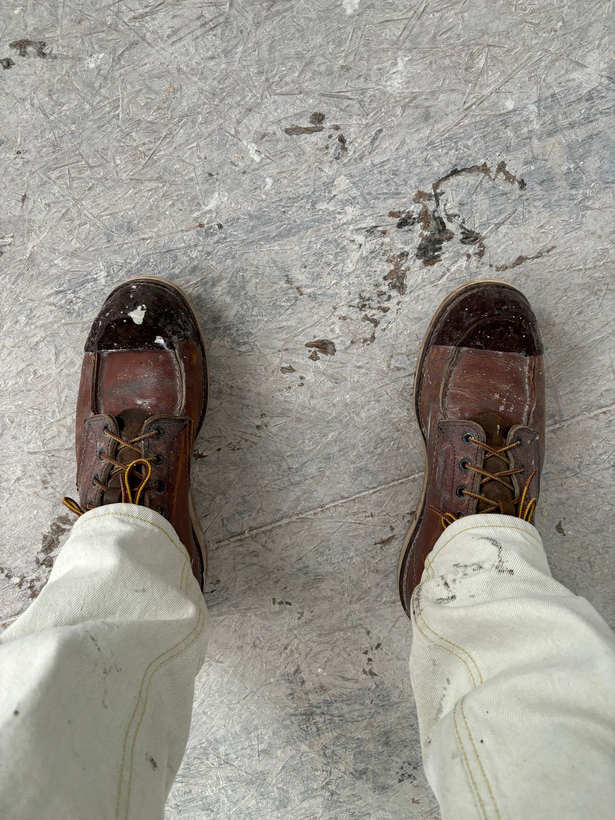 Photo by buddy1997 on February 3, 2026 of the Red Wing 6-Inch Classic Moc in S.B. Foot Oro-Iginal.