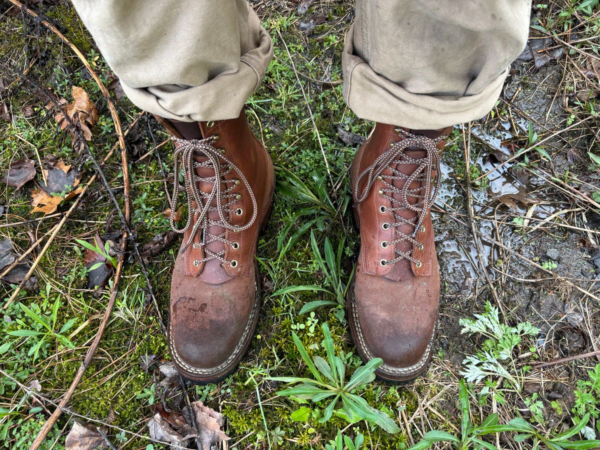 Photo by averagebootguy on April 26, 2026 of the Nicks Urban Logger in Seidel 1964 Brown & Seidel 1964 Brown Roughout.